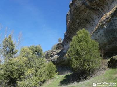 un bosque Jurásico - Sabinar y Cañón del río Caslilla; viajes castilla pueblos de sierra de madrid a